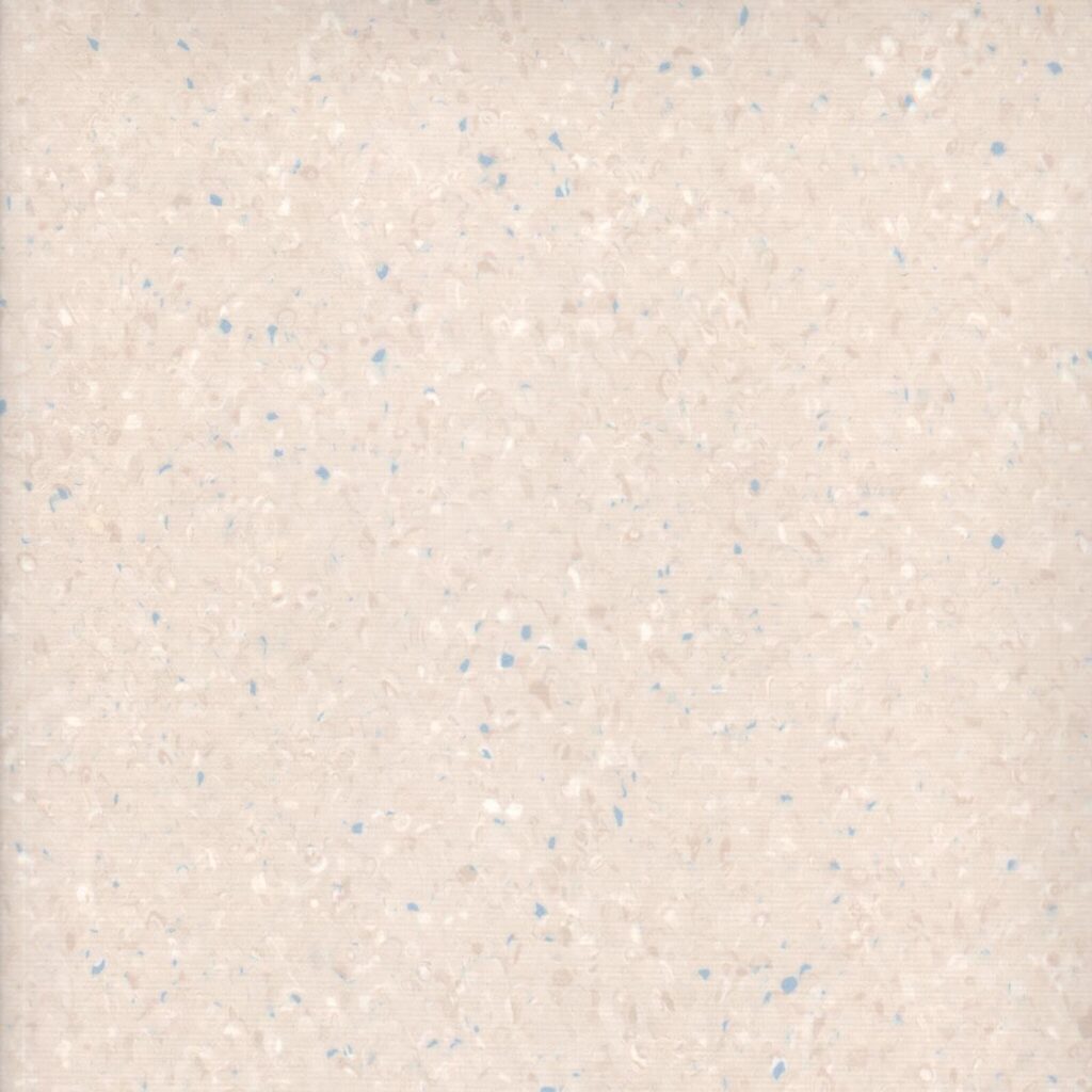 fortissilverknight_lizard